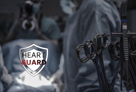 PROJECT STATUS - Heart Guard - APRIL